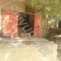 الطوعري لبيع الأسماك الطازجة بأنواعها